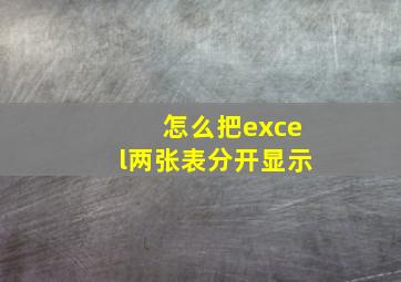 怎么把excel两张表分开显示