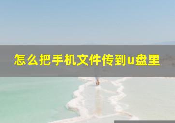 怎么把手机文件传到u盘里