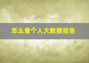 怎么查个人大数据报告