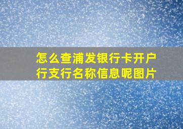 怎么查浦发银行卡开户行支行名称信息呢图片