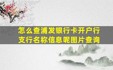 怎么查浦发银行卡开户行支行名称信息呢图片查询