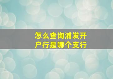 怎么查询浦发开户行是哪个支行