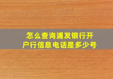 怎么查询浦发银行开户行信息电话是多少号