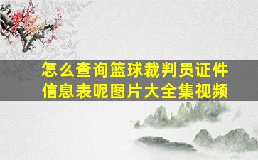 怎么查询篮球裁判员证件信息表呢图片大全集视频