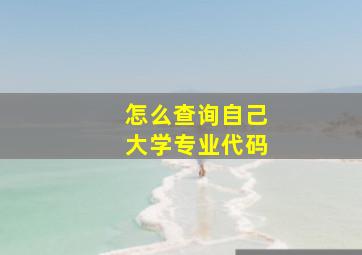 怎么查询自己大学专业代码