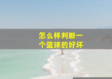 怎么样判断一个篮球的好坏