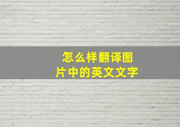 怎么样翻译图片中的英文文字