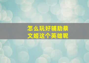 怎么玩好辅助蔡文姬这个英雄呢