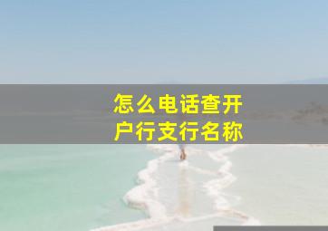 怎么电话查开户行支行名称