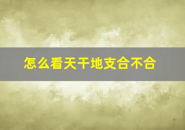 怎么看天干地支合不合