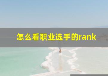 怎么看职业选手的rank