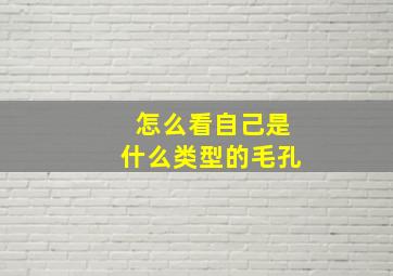 怎么看自己是什么类型的毛孔