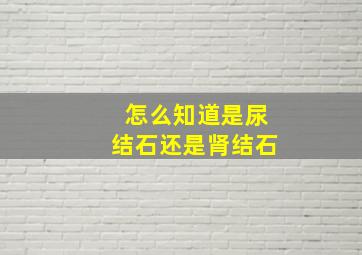 怎么知道是尿结石还是肾结石