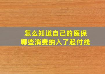 怎么知道自己的医保哪些消费纳入了起付线