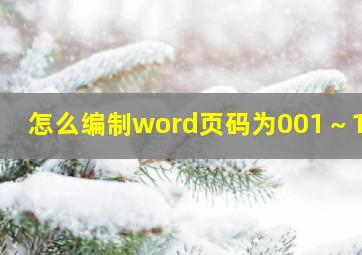 怎么编制word页码为001～112