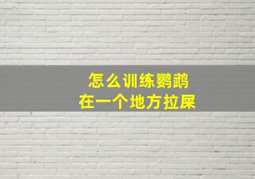 怎么训练鹦鹉在一个地方拉屎