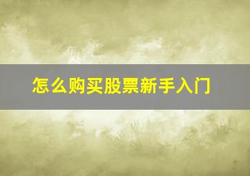 怎么购买股票新手入门