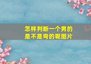 怎样判断一个男的是不是弯的呢图片