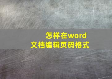 怎样在word文档编辑页码格式