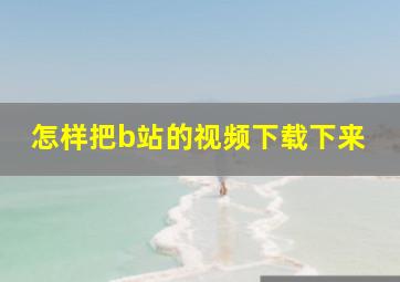 怎样把b站的视频下载下来