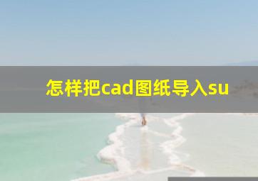 怎样把cad图纸导入su