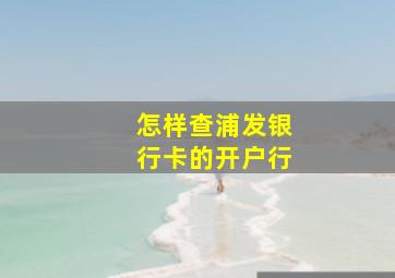 怎样查浦发银行卡的开户行