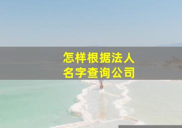 怎样根据法人名字查询公司