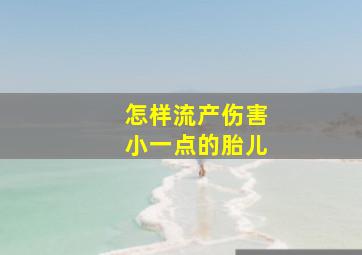 怎样流产伤害小一点的胎儿