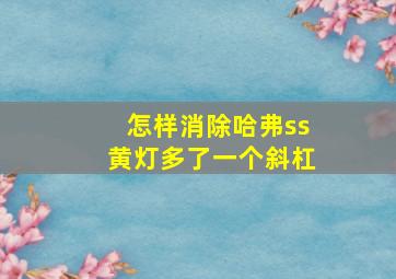 怎样消除哈弗ss黄灯多了一个斜杠