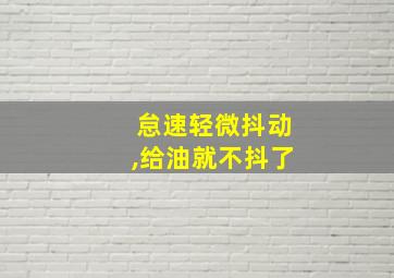 怠速轻微抖动,给油就不抖了