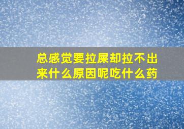 总感觉要拉屎却拉不出来什么原因呢吃什么药