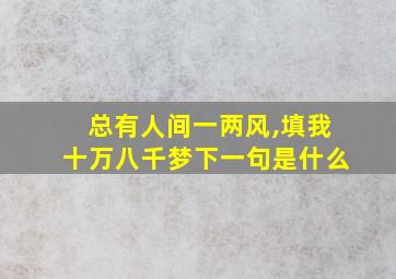 总有人间一两风,填我十万八千梦下一句是什么