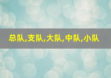 总队,支队,大队,中队,小队