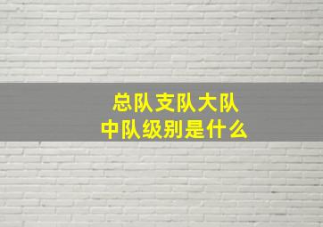 总队支队大队中队级别是什么