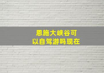 恩施大峡谷可以自驾游吗现在