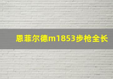 恩菲尔德m1853步枪全长