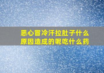 恶心冒冷汗拉肚子什么原因造成的呢吃什么药