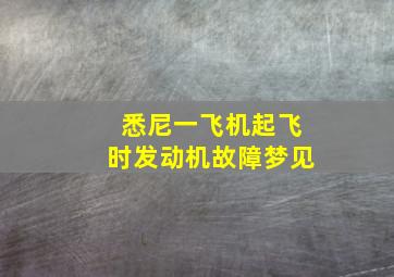 悉尼一飞机起飞时发动机故障梦见