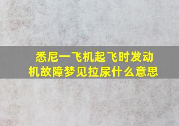 悉尼一飞机起飞时发动机故障梦见拉尿什么意思