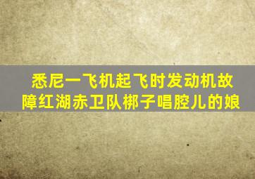 悉尼一飞机起飞时发动机故障红湖赤卫队梆子唱腔儿的娘