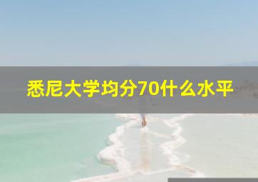 悉尼大学均分70什么水平