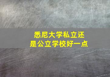 悉尼大学私立还是公立学校好一点