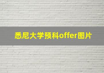 悉尼大学预科offer图片