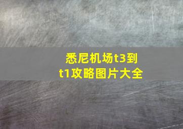 悉尼机场t3到t1攻略图片大全