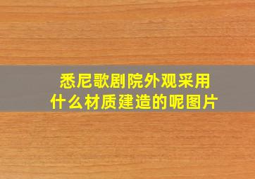 悉尼歌剧院外观采用什么材质建造的呢图片