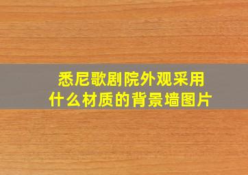 悉尼歌剧院外观采用什么材质的背景墙图片