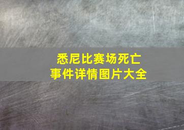 悉尼比赛场死亡事件详情图片大全