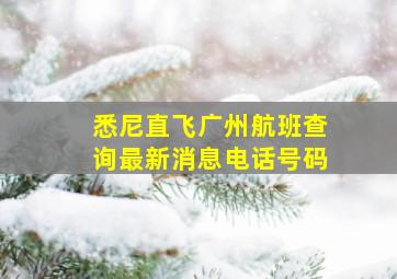 悉尼直飞广州航班查询最新消息电话号码