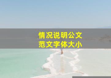 情况说明公文范文字体大小