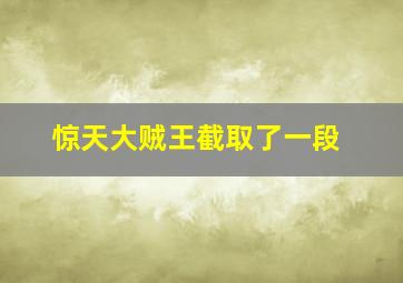 惊天大贼王截取了一段